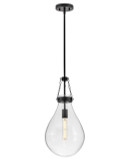 Pendants Bowl Style by Hinkley ( 13 | 46057BK Eloise ) 