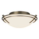 Flush Mounts Bowl Style by Hubbardton Forge ( 39 | 124402-SKT-84-GG0098 Tryne ) 