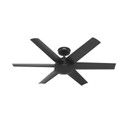 Fans Ceiling Fans by Hunter ( 47 | 51731 Jetty ) 