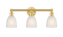 Bathroom Fixtures Three Lights by Innovations ( 405 | 616-3W-SG-G441 Edison ) 