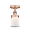 Flush Mounts Glass Down by Innovations ( 405 | 616-1F-AC-G181S Edison ) 