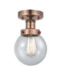 Flush Mounts Glass Down by Innovations ( 405 | 616-1F-AC-G204-6 Edison ) 