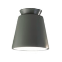 Flush Mounts Directional by Justice Designs ( 102 | CER-6170-PWGN Radiance ) 