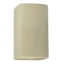 Exterior Wall Mt./Flush by Justice Designs ( 102 | CER-0950W-VAN-LED1-1000 Ambiance ) 