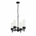 Mini Chandeliers Glass Shade by Maxilite ( 501 | MX 1561-4Y07 Daze ) 