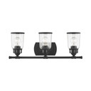 Bathroom Fixtures Three Lights by Livex Lighting ( 107 | 10513-04 Lawrenceville ) 