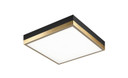 Flush Mounts Slimline/Low Profile by Matteo Lighting ( 423 | M11411BKAG Tux ) 