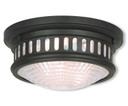 Flush Mounts Bowl Style by Livex Lighting ( 107 | 73051-07 Berwick ) 