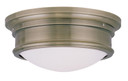 Flush Mounts Bowl Style by Livex Lighting ( 107 | 7342-01 Astor ) 