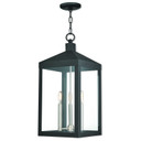 Exterior Hanging by Livex Lighting ( 107 | 20587-04 Nyack ) 