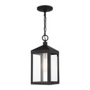 Exterior Hanging by Livex Lighting ( 107 | 20591-04 Nyack ) 