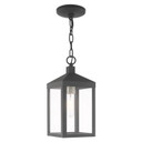 Exterior Hanging by Livex Lighting ( 107 | 20591-76 Nyack ) 