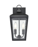 Exterior Wall Mount by Millennium ( 59 | 7902-PBK Brooks ) 