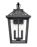 Exterior Wall Mount by Millennium ( 59 | 92202-TBK Mensun ) 
