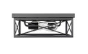 Flush Mounts Cage Style by Millennium ( 59 | 94102-MB ) 
