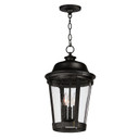 Exterior Hanging by Maxim ( 16 | 3029CDBZ Dover DC ) 