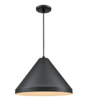 Pendants Metal Shade by Millennium ( 59 | RCC13-SB R Series ) 