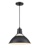 Pendants Metal Shade by Millennium ( 59 | RGCC13-SB R Series ) 