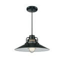Pendants Metal Shade by Millennium ( 59 | RRRC18-SB R Series ) 