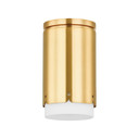 Flush Mounts Glass Down by Mitzi ( 428 | H870501-AGB Asa ) 
