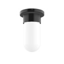 Flush Mounts Glass Down by Montclair Light Works ( 518 | FME040-41 Gambler ) 