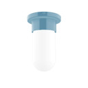 Flush Mounts Glass Down by Montclair Light Works ( 518 | FME040-54 Gambler ) 