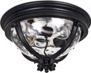 Exterior Ceiling Mount by Maxim ( 16 | 41420WGBK Camden VX ) 