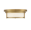Flush Mounts Bowl Style by Meridian ( 446 | M60062NB ) 