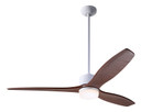 Fans Damp Location by Modern Fan Co ( 201 | ARB-GW-54-MG-870-WC Arbor DC ) 