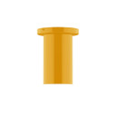 Flush Mounts Glass Down by Montclair Light Works ( 518 | FMD425-21-L10 Beam ) 