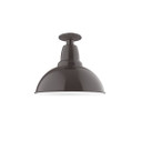 Exterior Ceiling Mount by Montclair Light Works ( 518 | FMB106-51-G06 Cafe ) 