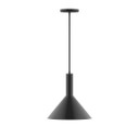 Pendants Metal Shade by Montclair Light Works ( 518 | PEBX466-G15-41-C20 Chase ) 
