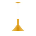 Pendants Metal Shade by Montclair Light Works ( 518 | PEBX466-21-C12 Chase ) 