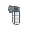 Exterior Wall Mount by Montclair Light Works ( 518 | SCW050-40-G07 Vaportite ) 