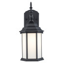 Exterior Wall Mount by Trans Globe Imports ( 110 | 51630 BK Eldlight ) 