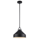 Pendants Metal Shade by Trans Globe Imports ( 110 | PND-2242 BK ) 