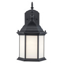 Exterior Wall Mount by Trans Globe Imports ( 110 | 51631 BK Eldlight ) 