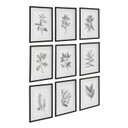 Home Accents Prints/Photography by Uttermost ( 52 | 41617 Farmhouse Florals ) 