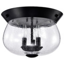 Flush Mounts Bowl Style by Nuvo Lighting ( 72 | 60-7806 Boliver ) 