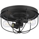 Flush Mounts Cage Style by Progress Lighting ( 54 | P350195-143 Medal ) 