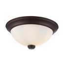 Flush Mounts Bowl Style by Trans Globe Imports ( 110 | 70526-11 ROB Mod Pod ) 