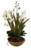 Home Accents Flowers/Greenery by Uttermost ( 52 | 60039 Moth Orchid ) 
