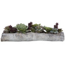 Home Accents Flowers/Greenery by Uttermost ( 52 | 60174 Charita ) 