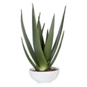 Home Accents Flowers/Greenery by Uttermost ( 52 | 60177 Evarado ) 