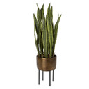Home Accents Flowers/Greenery by Uttermost ( 52 | 60185 Fasita ) 