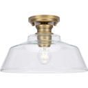 Semi-Flush Mts. Cage by Progress Lighting ( 54 | P350227-163 Singleton ) 