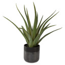 Home Accents Flowers/Greenery by Uttermost ( 52 | 60204 Tucson ) 