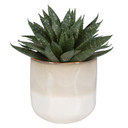 Home Accents Flowers/Greenery by Uttermost ( 52 | 60213 Doha ) 