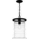 Exterior Hanging by Quoizel ( 10 | NAD1510MBK Noland ) 