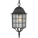 Exterior Hanging by Nuvo Lighting ( 72 | 60-4913 Adams ) 